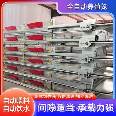 现代化养殖场自动喂料蛋鸡肉鸡笼全自动立式鸽子笼鹌鹑养殖育雏笼