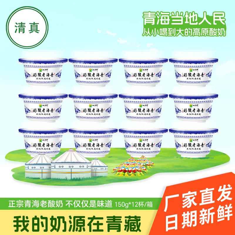 清真小西牛青海老酸奶原味益生菌酸牛奶风味发酵乳150g*12杯整箱