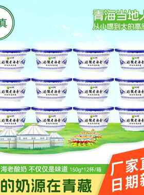 清真小西牛青海老酸奶原味益生菌酸牛奶风味发酵乳150g*12杯整箱