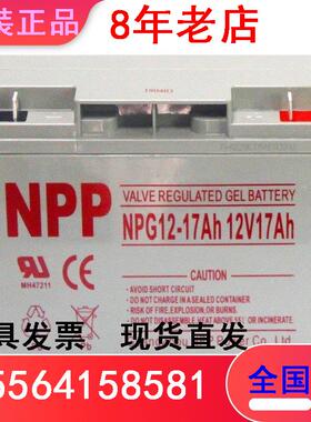 耐普蓄电池NPG12-17AH/12V17AH机房电梯通讯免维护 机房UPS电源