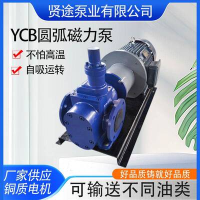铸铁圆弧磁力泵无泄漏磁力驱动泵YCB20/0.6化工用自吸泵电动泵