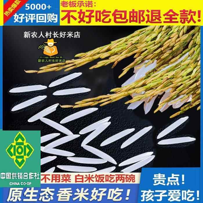2024年原生态农家新米大米长粒香米软糯晚稻猫牙丝苗米油粘煲仔饭