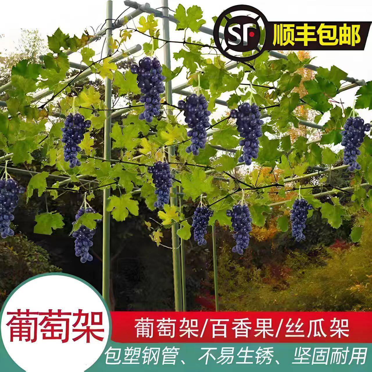 户外庭院葡萄架组装支架百香果苦瓜攀爬架铁艺棚架阳台植物爬藤架
