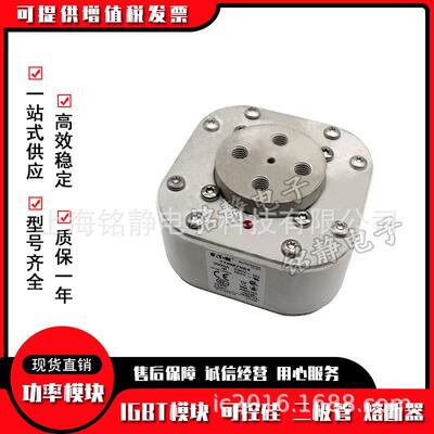 170M7063170M7064170M7065巴斯曼熔断器170M7066型号齐全现货