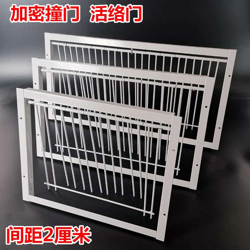 鸽子活络门加密撞门进笼口跳笼门配件信鸽鸽具鸽子用品加厚自动门