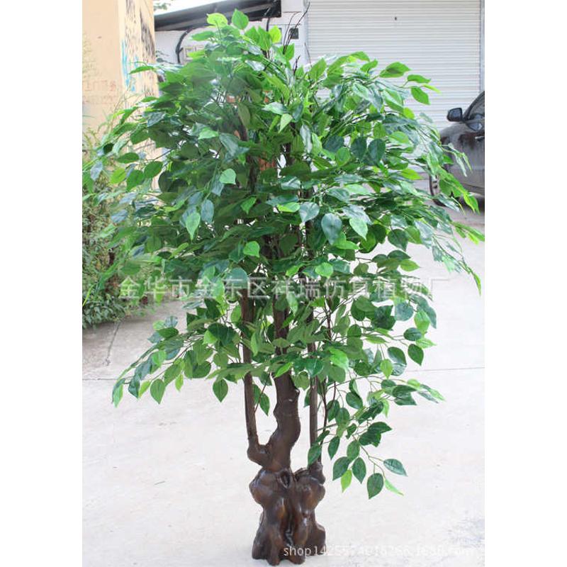 仿真植物1.5米榕树叶 过胶新绿榕叶白边榕叶拍摄背景工程装饰批发