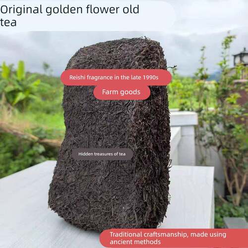 新疆包邮老六堡老传统工艺古法制作90年代末灵芝香浓浓灵芝香味农