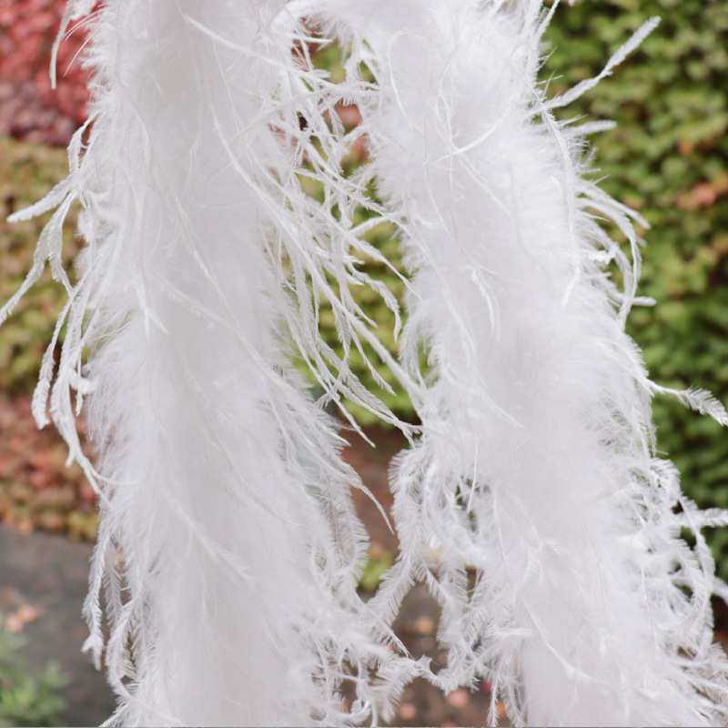 厂家供应10-15cm鸵鸟毛条 羽毛DIY舞台服装装饰 现货批发鸵鸟羽毛,节庆用品/礼品,毛条,淘宝优惠券,粉丝福利购,淘宝优惠卷