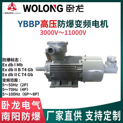 CNE南阳防爆YBBP高压异步电机6/10V变频调速IP55F/H绝缘B3/B35