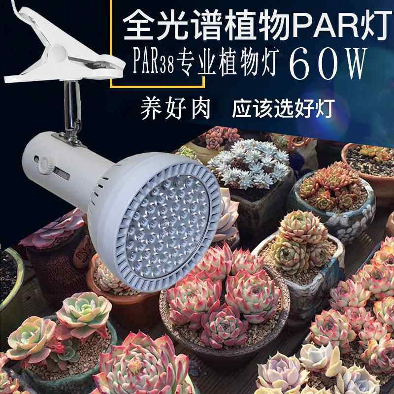植物生QTA长补光灯植LED全光谱绿内景花卉多肉轨道植室物墙补观光