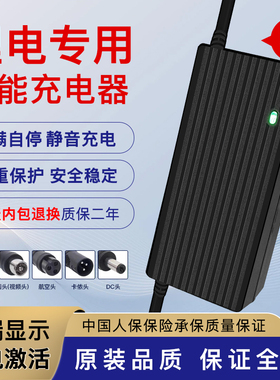 12V锂电池充电器4串磷酸铁锂充电器14.6V10A5A3A2A户外便携式通用