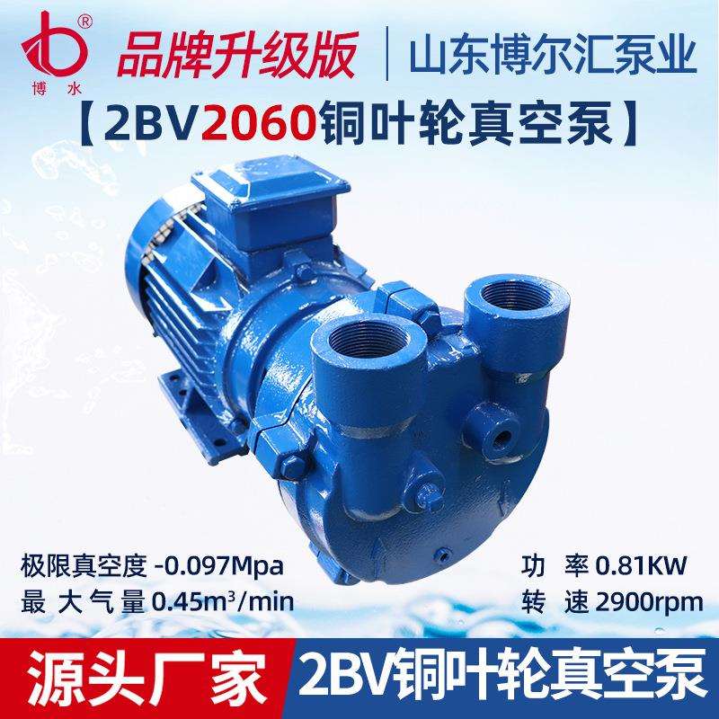 2BV2060水环式真空泵工业用2BV系列0.81kw真空水循环真空泵压缩机