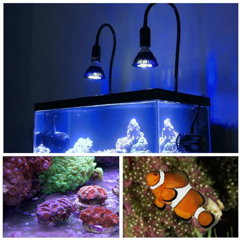补水草e27鱼缸缸灯灯 par38光灯 蓝光水族灯养殖led水族e26珊瑚