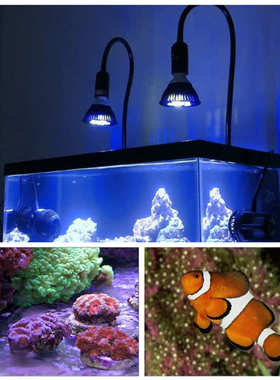补水草e27鱼缸缸灯灯 par38光灯 蓝光水族灯养殖led水族e26珊瑚