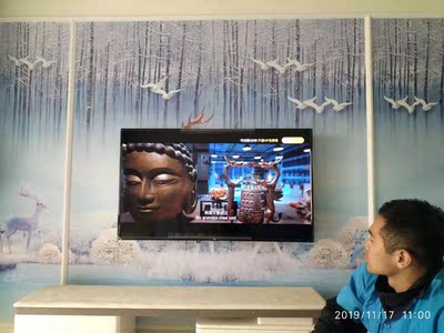 客观分析电视TCL55v2和海信55E52D哪个好，差别大不大？