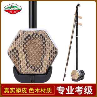 苏州二胡实木琴轸细鳞格子学生老人初学入门儿童胡琴六角二胡