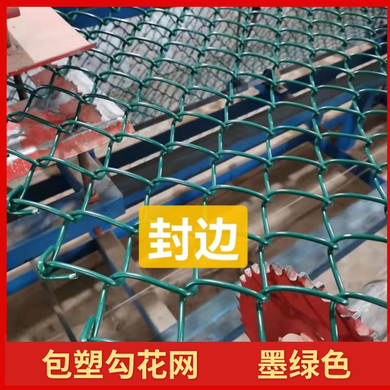 包塑铁丝围栏网足球篮球场体育场防护网钢丝勾花网户外隔离菱厂家