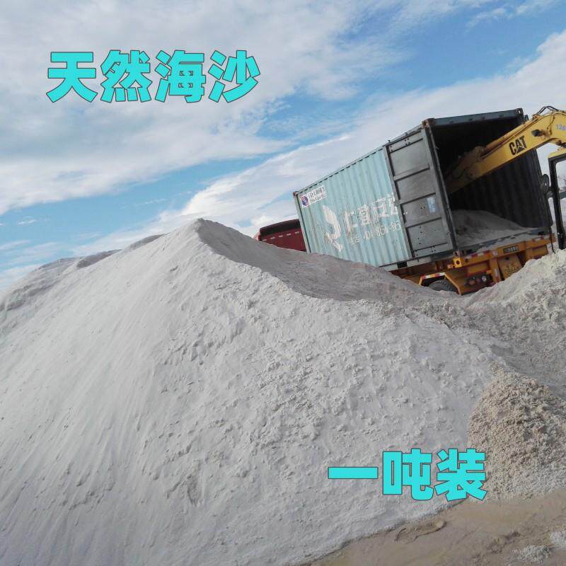 天然石英砂 天然海沙细沙 沙滩沙游乐场沙池装饰沙儿童沙子宝宝沙