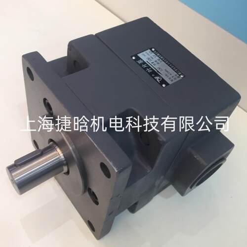 供应YB1-100 YB1-125 YLC永灵叶片泵 滚齿机设备用油泵