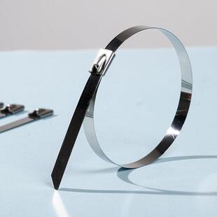 不锈 捆绑规格多样式 新款 锁不锈钢扎带04拉紧器4.6m自m金3属