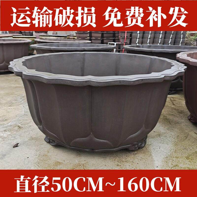 宜兴紫砂花盆特大花盆种树盆阳台种菜盆盆景盆菱花盆树桩盆