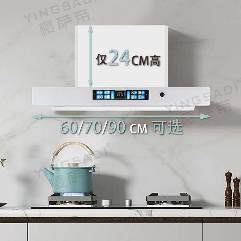 鹏音伴600/700/900小户型小公寓小尺寸抽油烟机厨房油烟机家用白色烟机摆件