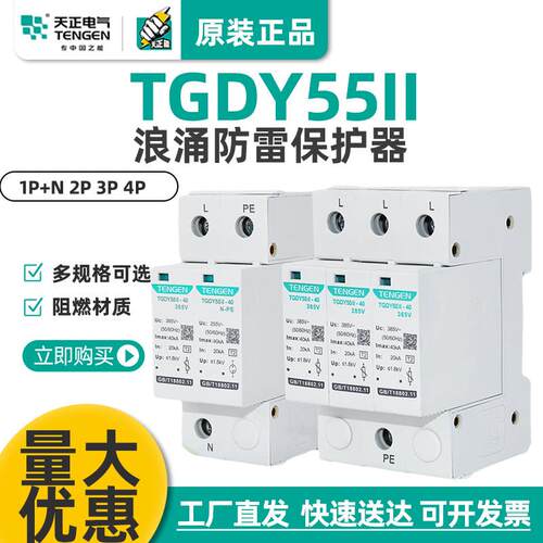 天正TGDY55II浪涌电涌保护器2P4P防雷避雷器20KA40KA二级380V家用