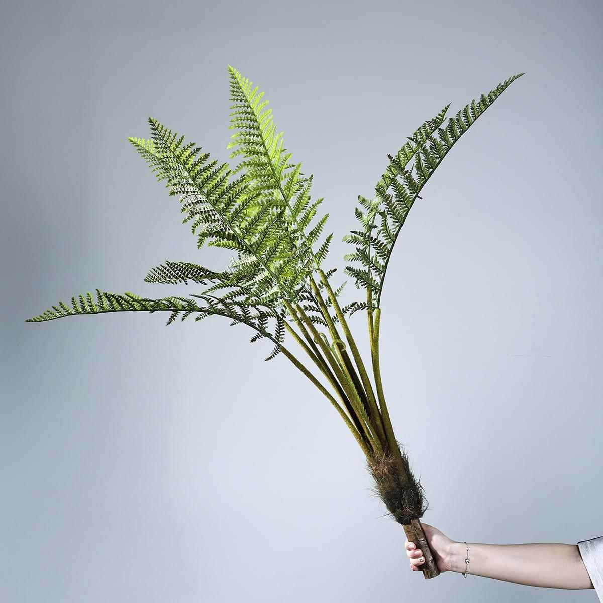 波斯蕨波斯草猴头蕨仿真绿植大型把束软装造景装饰植物盆栽摆件