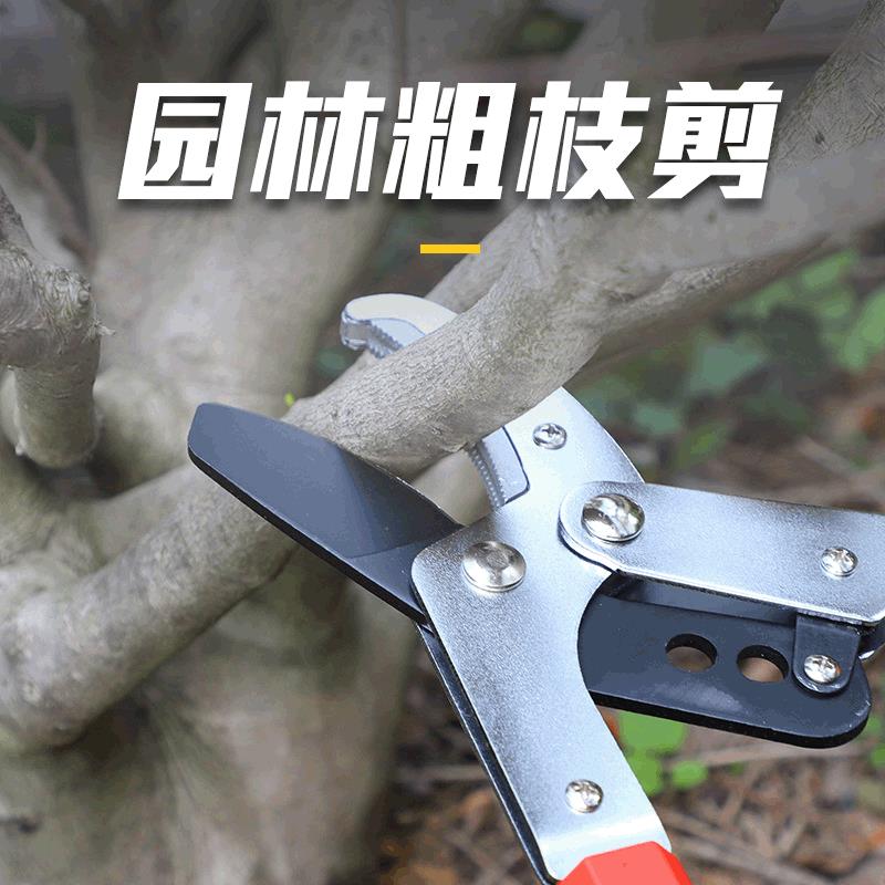 厂家直供园林粗枝剪家用绿化加长修枝剪果树草坪园艺剪刀工具