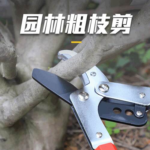 厂家直供园林粗枝剪家用绿化加长修枝剪果树草坪园艺剪刀工具