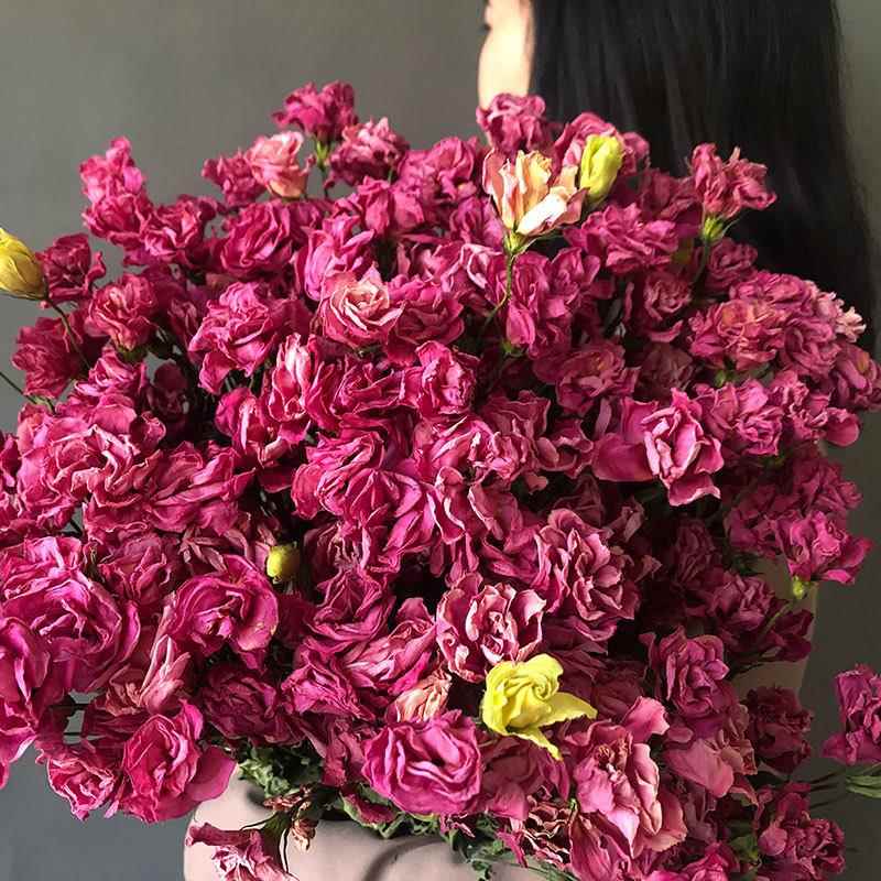 狂想者新品干花亚马逊家庭手工DIY插花洋桔梗花自然干花束