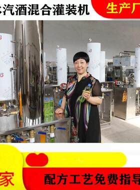 做汽水的小型饮料设备水果味带气酵素冷面汤加气灌装机汽酒灌装机