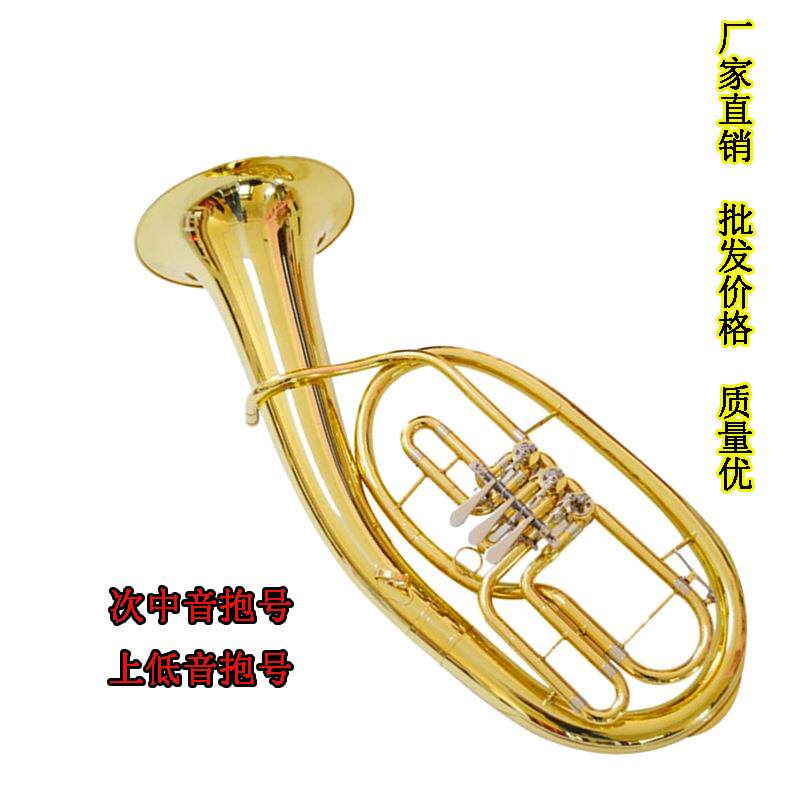 降B调三扁键次中音号四扁键上低音号大号抱号乐器乐团队演奏