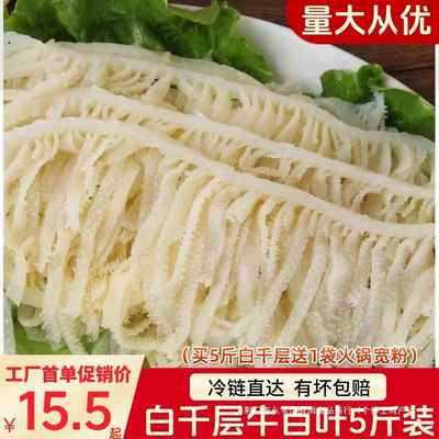 新鲜牛百叶牛杂重庆火锅毛肚火锅5斤装牛肚白千层食材配菜肚