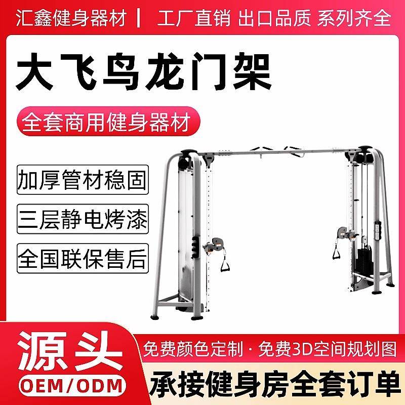 大飞鸟综合训练器小飞鸟框式龙门架商用健身多功能大型力量器材