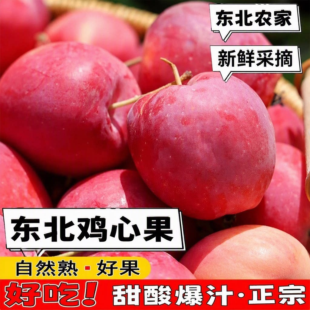 东北新鲜鸡心果锦绣海棠果小苹果当季现摘甜酸自然熟不打蜡带枝