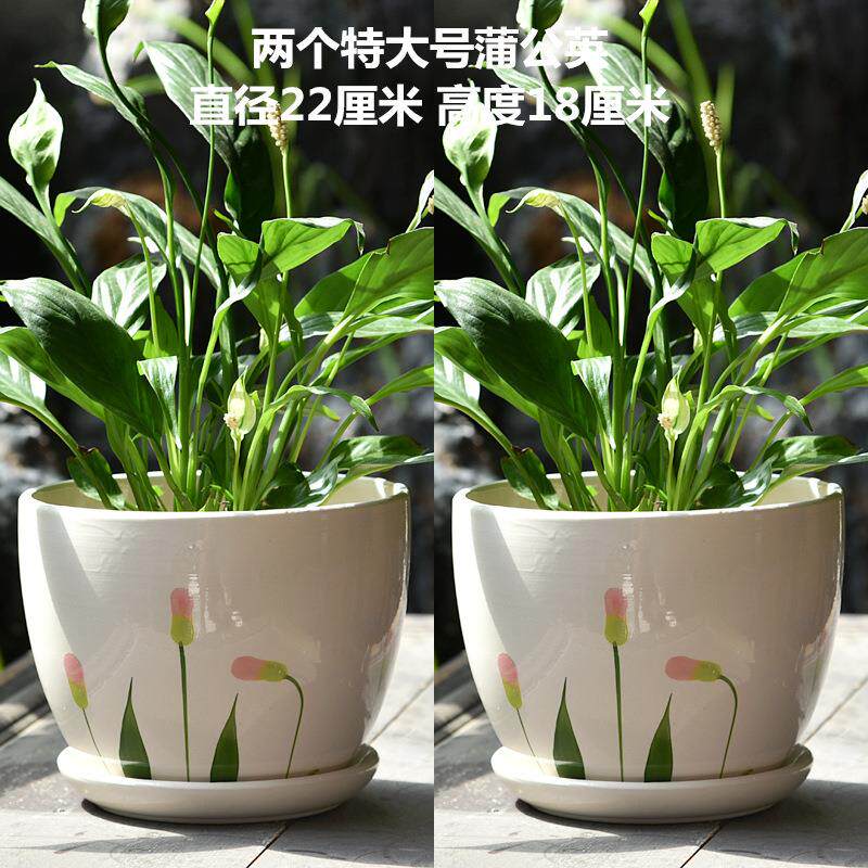 厂家直销花盆陶瓷创号个号性大特大带YON托盘意家用绿萝多肉花盆