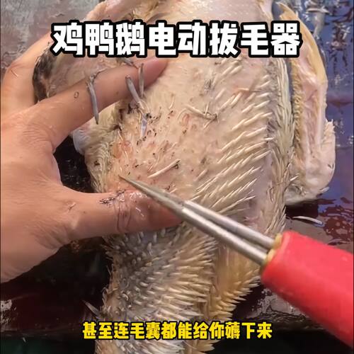 鸡鸭鹅电动拔毛器家禽电动除毛机拔毛机除毛器拔毛器拔毛全自动