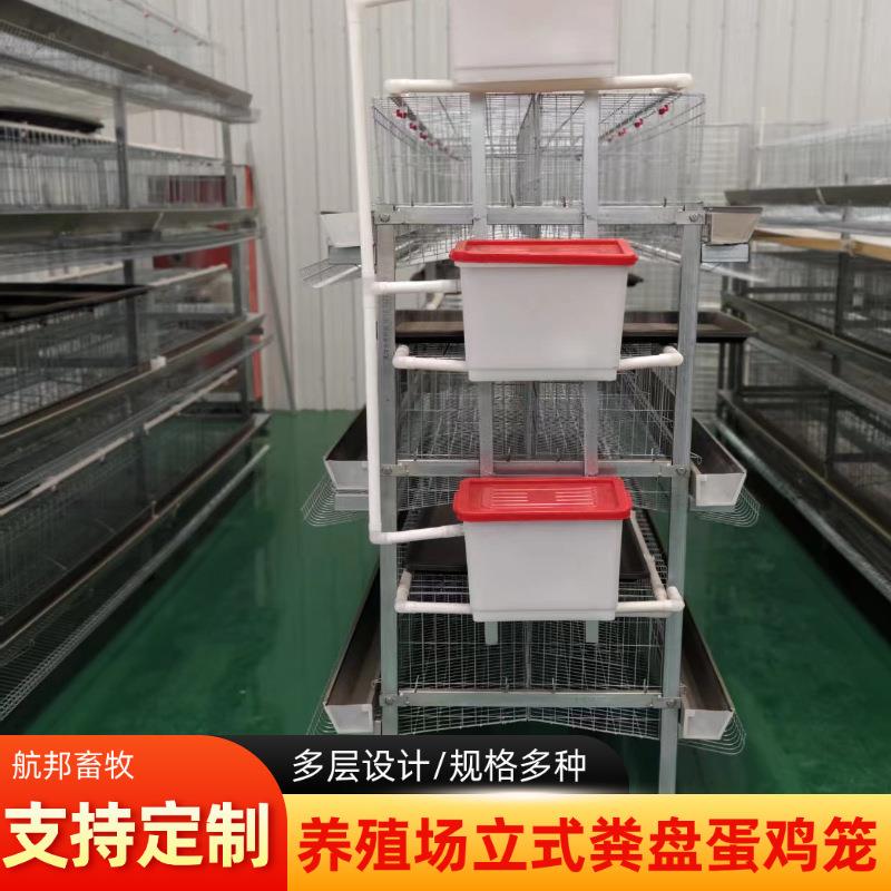三层肉鸡笼养殖设备厂家立式接粪盘蛋鸡笼镀锌材质肉鸡笼定制