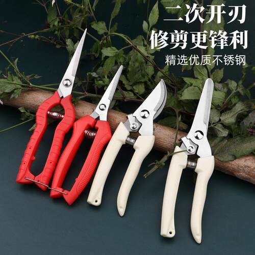 摘果剪强力修枝剪子园林稀果摘果剪葡萄修枝专用剪刀蔬果采摘剪子