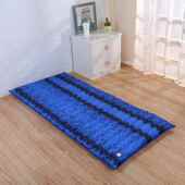 降温水床垫多用途水垫凉垫冰垫 75气水两用垫夏季 新款 气水垫190