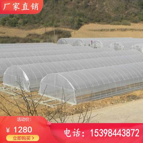 云南温室大棚骨架蔬菜草莓养殖弯管龙骨支架杆镀锌管拱杆钢管全套