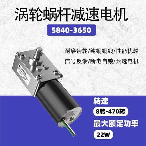 5840-3650无刷电机蜗轮蜗杆直流减速大扭矩低速马达脉冲自锁刹车