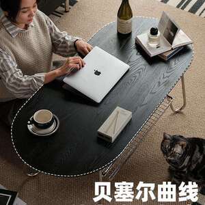 泡沫小敏家具黑色复古茶几客厅家用不锈钢中古椭圆形简约实木茶桌