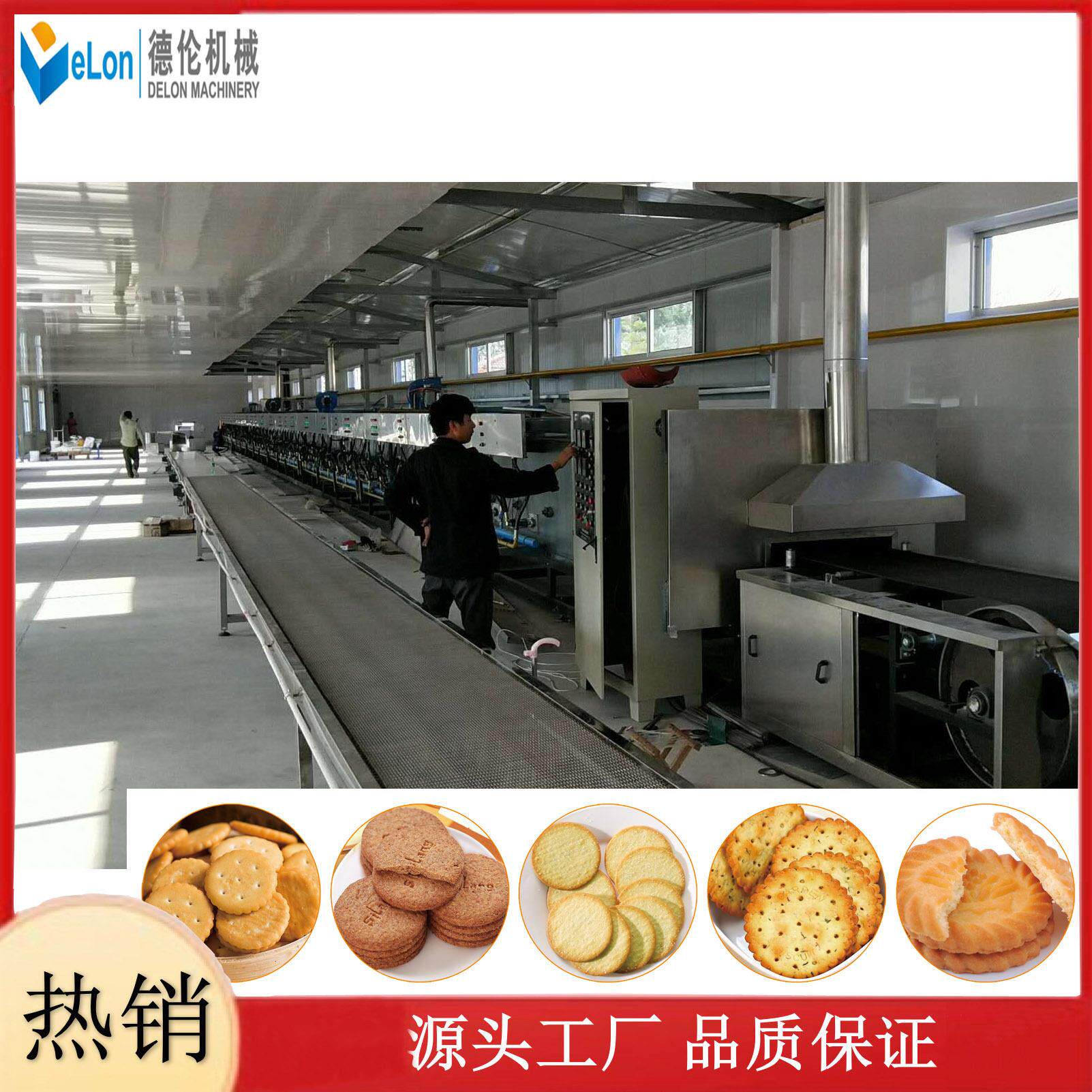自动饼干设备粗粮饼干设备DL600塑性韧性饼干成型烘干一体设备