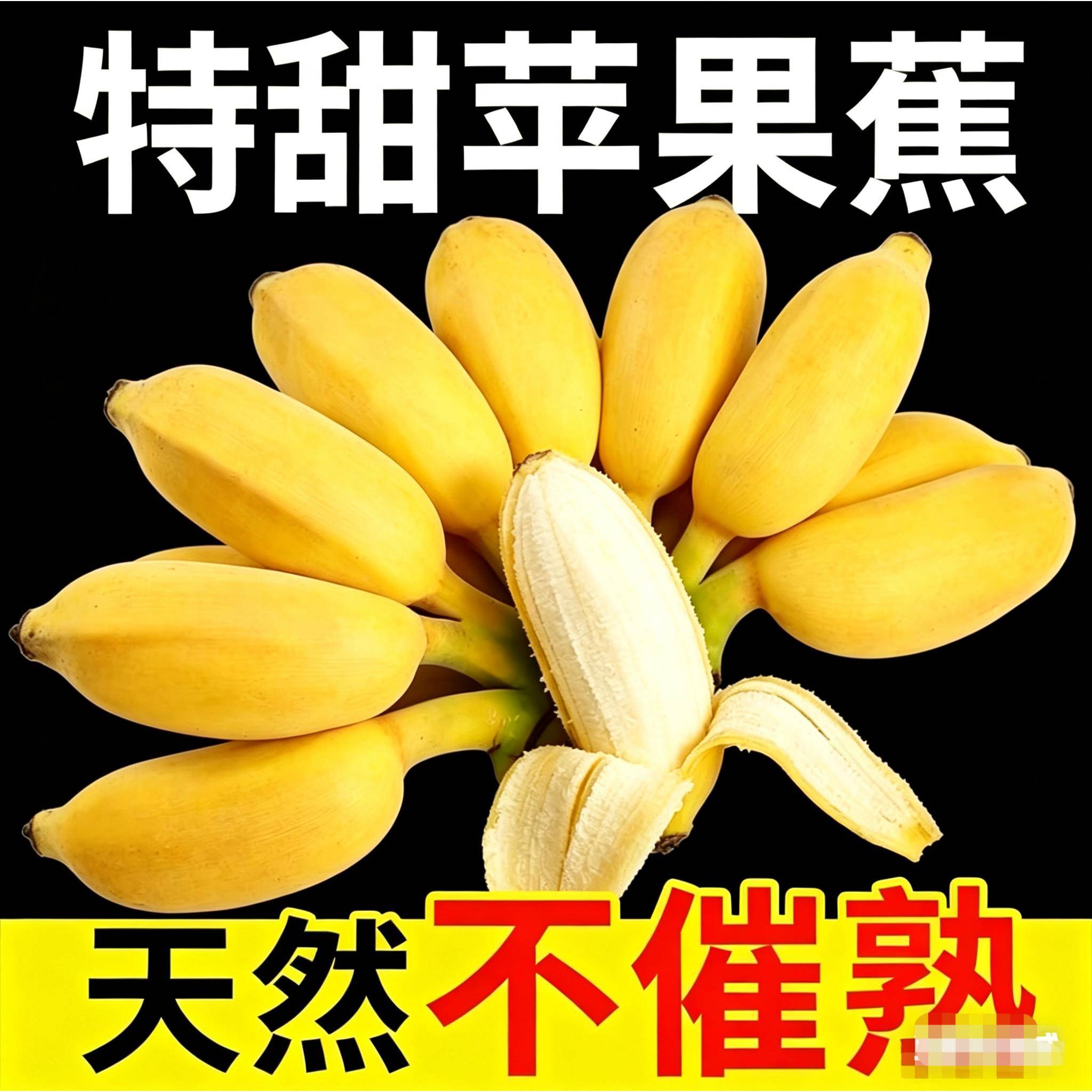 广西苹果蕉农家果园直采果香清新果肉绵密新鲜发货