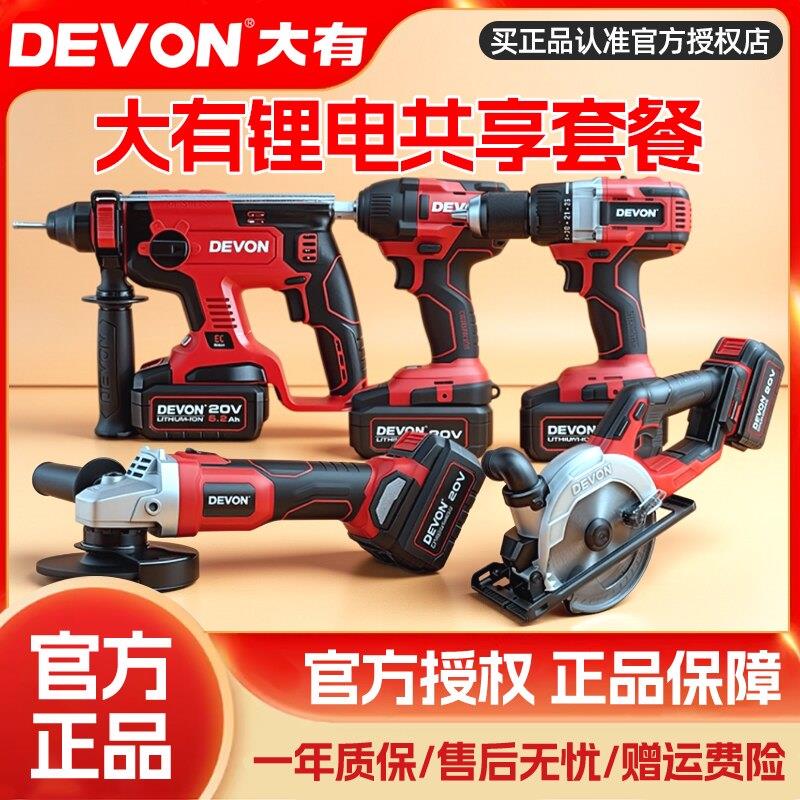 大有5401充电电锤钻电镐两用锂电冲击钻打混凝土家用电动工具套装