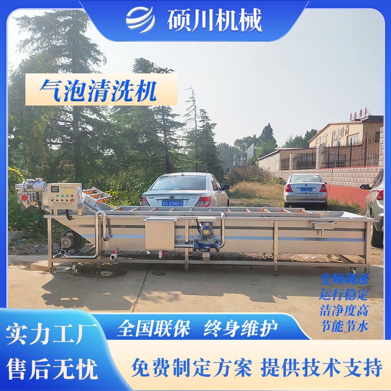 酸菜清洗脱盐机海带丝裙带菜清洗设备草莓樱桃四季豆气泡清洗机