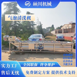 菌菇木耳银耳气泡清洗机洗菜机蒲公英蕨菜山野菜清洗漂烫设备