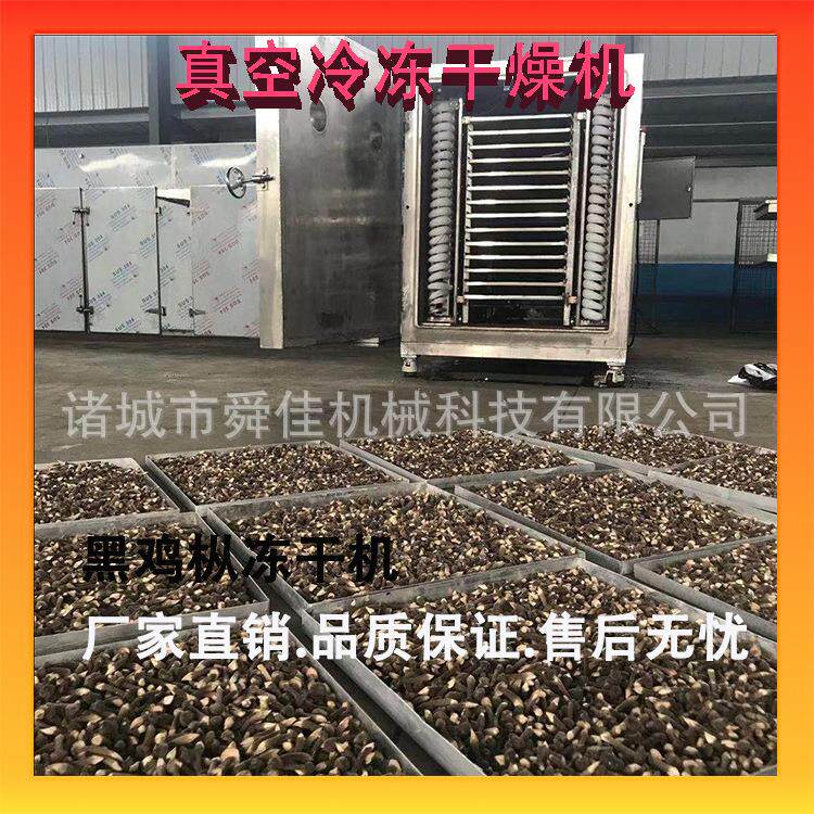 黑鸡枞真空冻干机竹笋低温冷冻干燥机鸭肉粒脱水冻干机